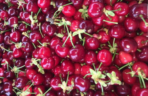 Manidibianco Apulian Relaxing Stay - Foto 29