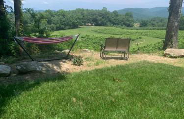 Cabin on Gold Mine Hill - Foto 6