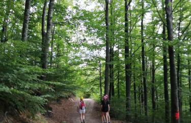 Agriturismo Bordigaie - Photo 19