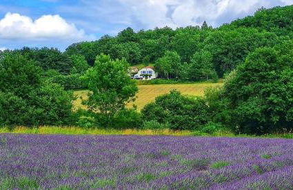 La Lumière Dorée - Foto 2