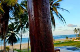 Chalés Mediterraneo - Foto 46