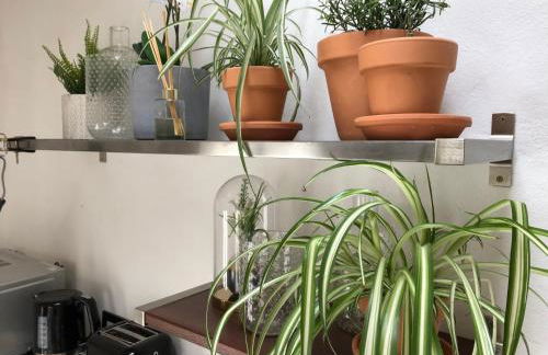 Sala Botanica Studio - Shared Pool - Central Island Location - 10 mins drive to Famara and La Santa - Foto 12