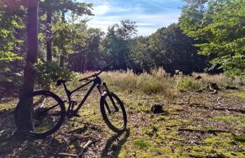 Ferienhaus Möhnetal - Foto 34