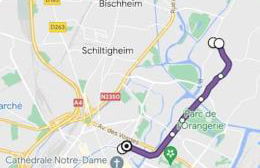 Robertsau, jardin en ville - Foto 27