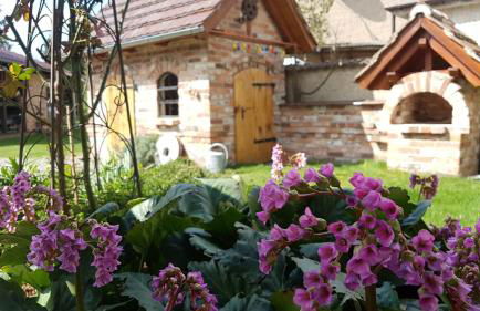 Ferienhof Sommergarten - Foto 14