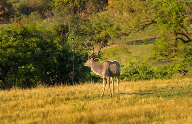 AtNature Luxury Self Catering Cottages - Photo 74