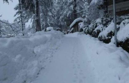 La Stella Alpina - Photo 8