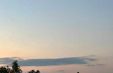 Pod Modrzewiem - Foto 40