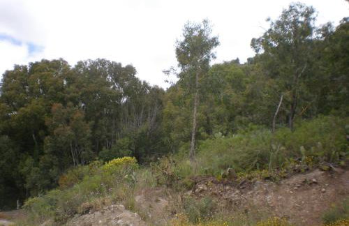 Casa Rural Las Caldereras - Foto 29