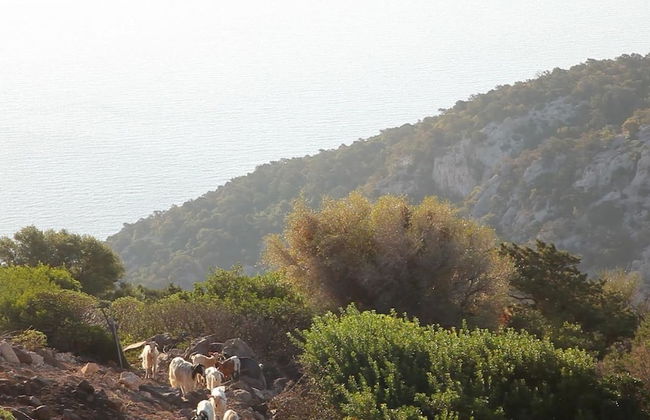 Villa Maria Caterina - Foto 59