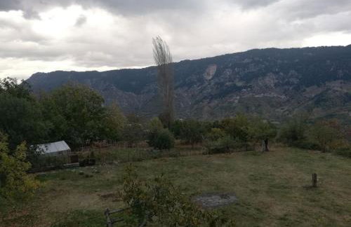 Παραδοσιακο σπιτι με εσωτερικο τζακι - Foto 7