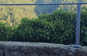 Casa in roccaforte Longobarda - Foto 16