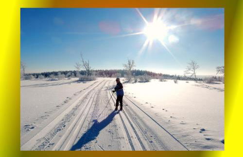 Ferienwohnung Cafe`Rotter , Brigitte und Jürgen Rotter - Foto 11
