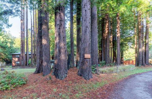 Serenity Grove - Foto 16