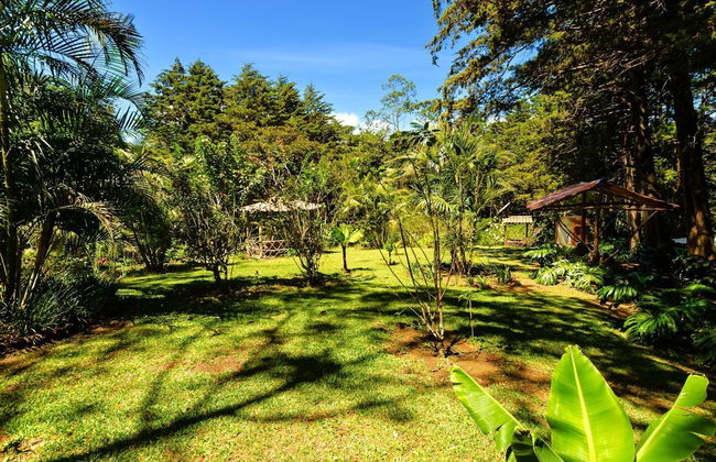 Cabañas Lunas del Poas - Foto 35