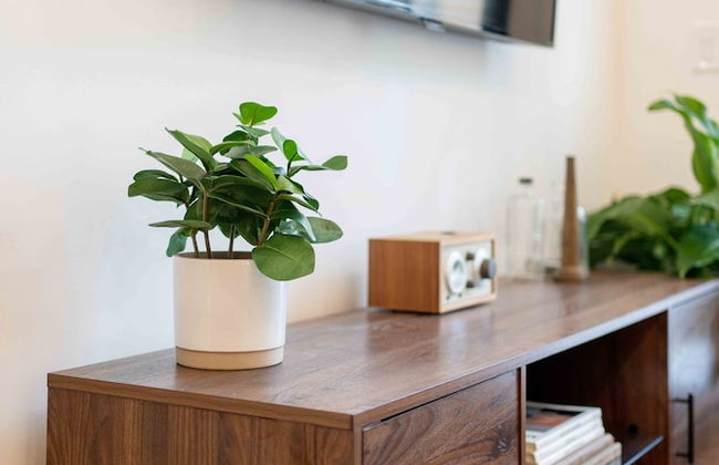 Bonaventure Furnished Apartments - Photo 44