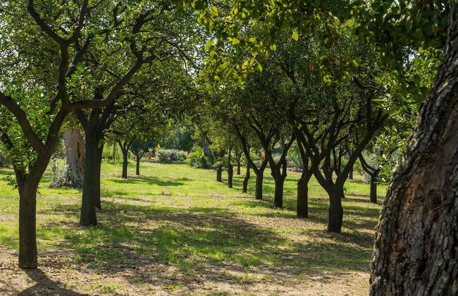 Agriturismo Villa Coluccia - Foto 61