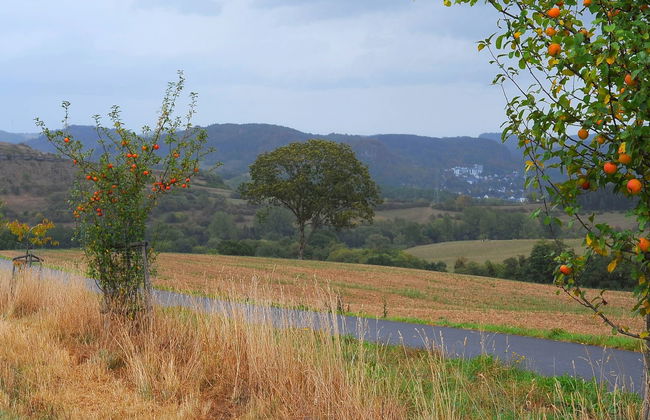 Holzchalet E - Foto 41