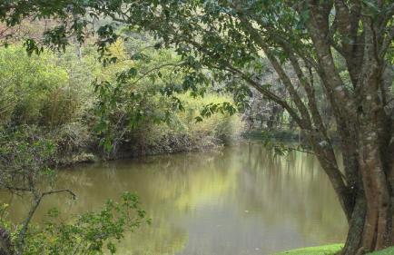 Recanto da Paz Tur - Relax e charme na serra - Foto 67