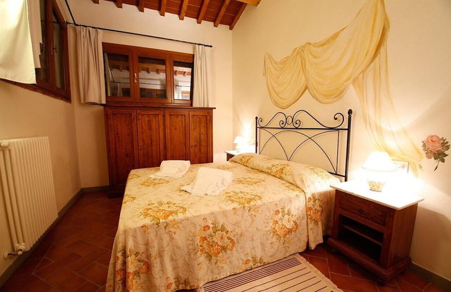 Gatto Bianco Tizzauli - Foto 5