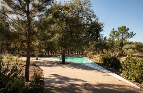 Deluxe Comporta Mundo - Foto 9