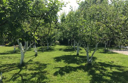 Lagom Apartments - Foto 98