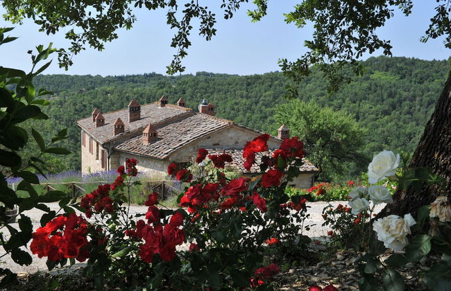 Collelungo - Foto 63