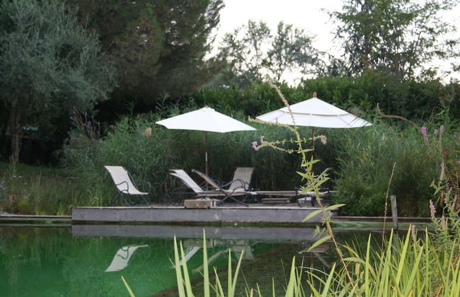 Orion Tree houses - Foto 45