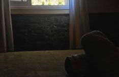 Casa Vivi - Photo 29