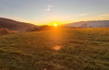 Świerkowy Zakątek u Bacy - Foto 41