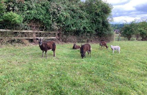 Light & Airy Vaulted Barn Conversion with a View - Photo 12