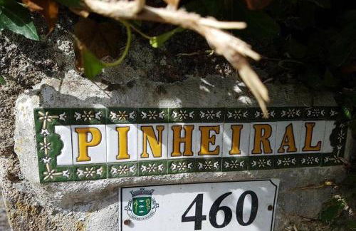 Casa de Campo - Cinfães do Douro - Foto 29