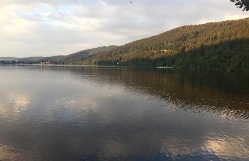 Titisee Haus Vogelnest - Photo 67