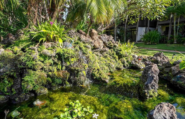 Tropical & Serene Garden Vistas - Photo 43