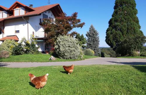 Hofgut Bergchalet Mirabell - Natururlaub am Bodensee - Foto 19