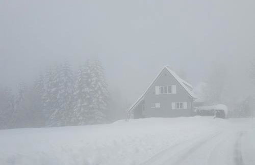 La Faya "Molerhüsli"- Gemütliches, gehobenes Ferienhaus in Muggenbrunn -Feldberg - Foto 25
