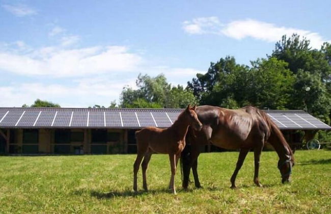 Agriturismo Prisma - Foto 25