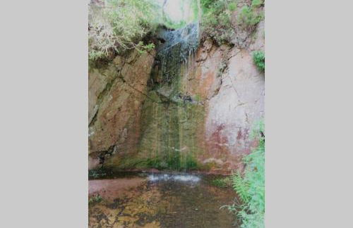 Modernes Apartment mit Traumhaftem Blick ins Grüne - Photo 29