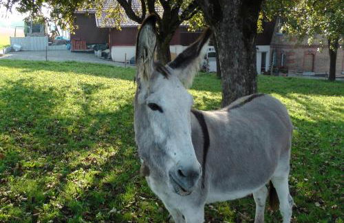 Andreashof - Foto 23