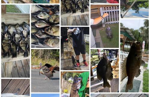 FREE BOAT to use ,Fish Camp, Water Front, Pets ok - Foto 9