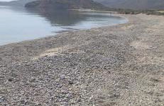 Emmy Villa - Photo 29