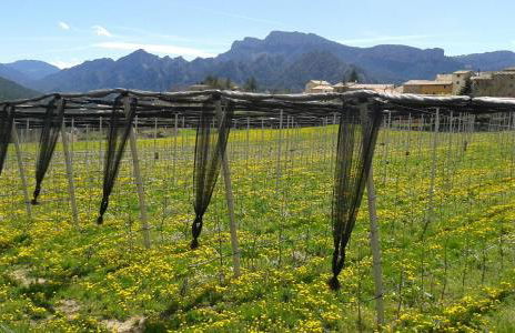 Casa Rural Rebost - Foto 38