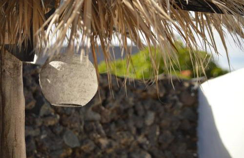 Finca Creativa - Foto 7