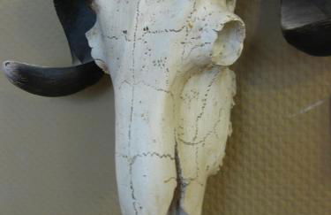 Apartment Central Leipzig - City - Foto 54