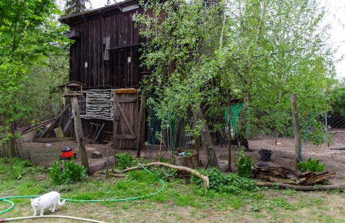 StorchenHof - Foto 28