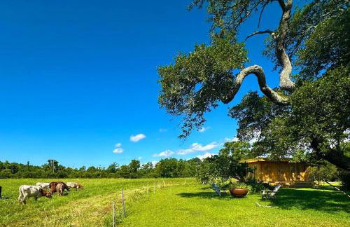 Tranquil Modern Farm Cabin - Foto 44