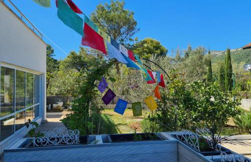 Koko's home - Photo 4