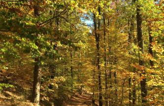 Holiday Home Trifels by Interhome - Foto 30