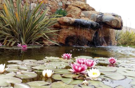 Villa Can Cosmi - Foto 9