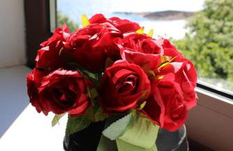 Casa do Faqueiro de Casas Brioso - Foto 17